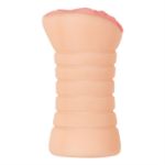 Picture of Lisa Ann Vagina Stroker