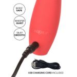 Picture of Red Hot Spark