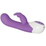 Picture of ENCHANTED BUNNY