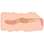 Picture of TORI BLACK VAGINA STROKER