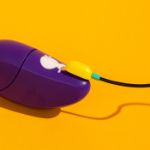 Picture of Romp Free