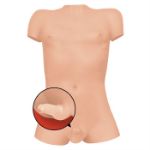 Picture of Signature Dolls - TransGirl Natalie Mars