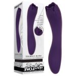 Picture of THORNY ROSE