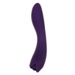 Picture of THORNY ROSE