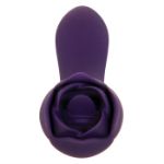 Picture of THORNY ROSE