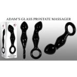 Picture of Adam's Glass Prostate Massager
