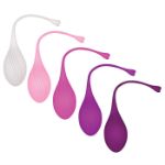 Picture of Tight & Delight - Kit