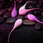 Picture of Tight & Delight - Kit