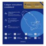 Picture of Womanizer DUO 2 - Blueberry