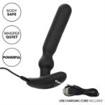 Picture of Colt - Rechargeable - Large -  Anal-T
