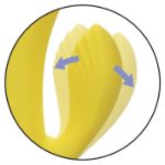 Picture of California Dreaming® San Diego Seduction