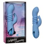 Picture of California Dreaming® Santa Cruz 'Coaster