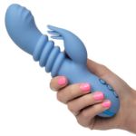 Picture of California Dreaming® Santa Cruz 'Coaster