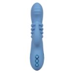 Picture of California Dreaming® Santa Cruz 'Coaster