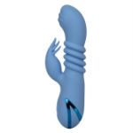 Picture of California Dreaming® Santa Cruz 'Coaster