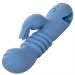 Picture of California Dreaming® Santa Cruz 'Coaster