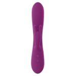 Picture of Busy Bunny - Wild Aster